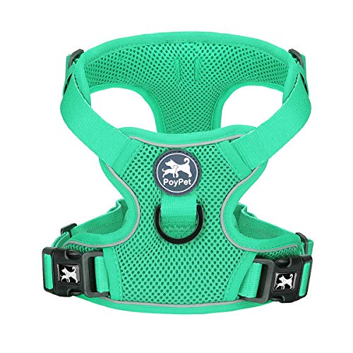 PoyPet Reflective Soft Breathable Mesh Dog Harness Choke-Free Double Padded Vest with Adjustable Neck and Chest(Mint Green,S) - color: Mint Green, size: S
