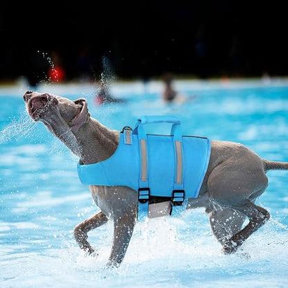 Queenmore Large Dog Swimming Life Jacket with Back Zip, Rescue Handle, Hook (Blue L) - color: Blue, size: Large
