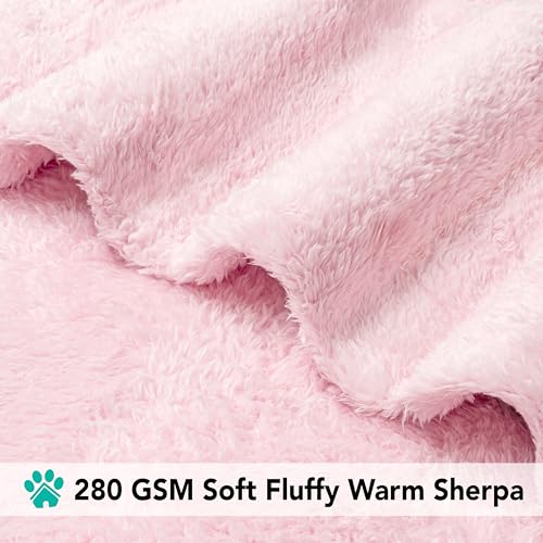 PETAMI Fluffy Fleece CAT and Dog Throw Blanket, Pink, Medium - color: Pink, size: Medium (29x40)