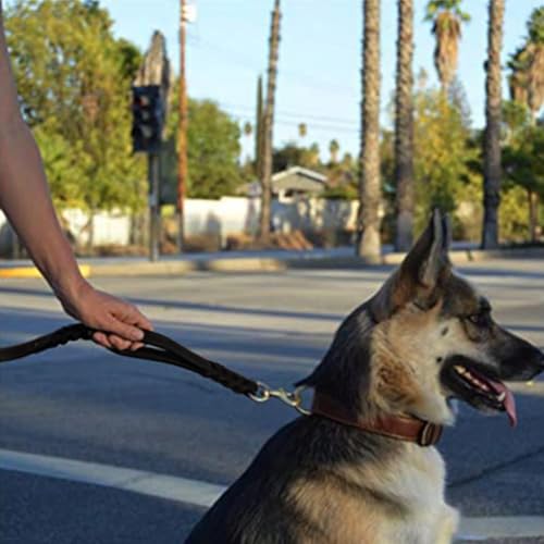 Guiding Star Double Handle Leather Dog Leash 6ft, Heavy Duty Braided Dog Leash with Traffic Handle for Small Medium & Large Dogs (Black, 6ft x 5/8 inch) - color: Black
