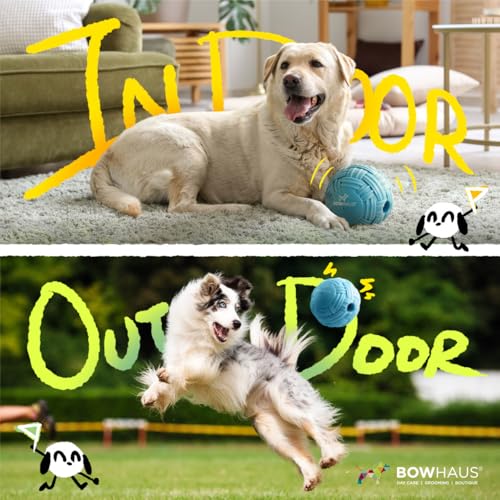 BOWHAUS Knitted Style Giggle Ball for Dogs, 5.5 Inch Interactive Dog Exercise Toys, Indestructible Fun Squeaky Chew Toy, Non-Toxic Durable PVC Chew Ball for Indoor Outdoor Play - style: Giggle Ball - Knitted Style