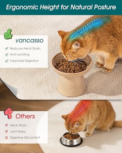 vancasso Elevated Cat Food Bowls 2-Pack, 6.2" Wide Shallow Cat Feeding Bowl for Whisker Fatigue, 5.1" Height Ceramic Raised Food Bowls for Senior Cats, Anti Vomit, Brown - color: Brown-Food 2-pack