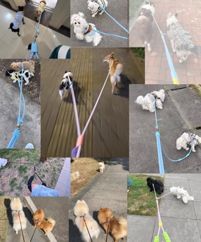 Hands Free Double Dog Leash for Two Dogs, No Tangle 360° Swivel Fit for Small and Medium Breeds, Adjustable Split Leads (Purple(5A Level Pet-Friendly Premium Edition) - color: Purple(5A Level Pet-friendly Premium Edition）