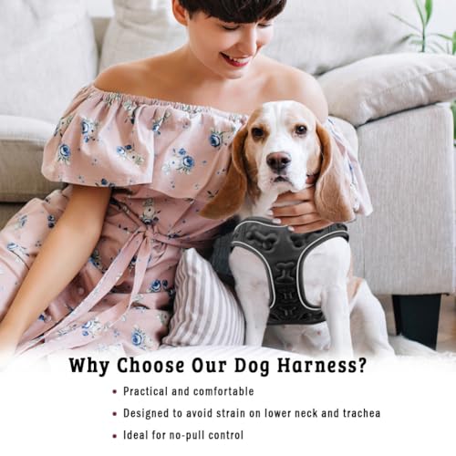 Comfort fit All Weather Step-in Reflective Dog Harness - Adjustable Small Dog Harness Medium Sized Dogs - Soft Padded Easy Walk Dog Vest Harnesses - color: Reflective Black, size: S (Chest 12" - 15.5")