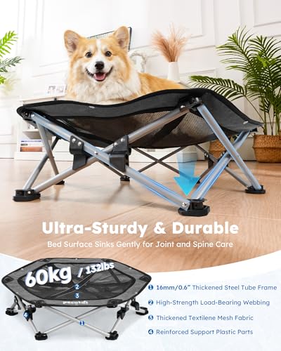 Pecute Elevated Dog Bed with Cooling Blanket, Chew Proof Outdoor Pet Cot for Medium Dogs, Tool-Free Assembly & 360° Breathable Mesh for Summer Camping, Orthopedic Joint Support, L, 31.9×29.5×7.9" - size: L(31.9 × 29.5 × 7.9'')