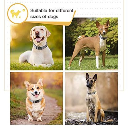 HEELE Dog Collar, Reflective Dog Collar, Soft Neoprene Padded Breathable Nylon Pet Collar Adjustable for Small Dogs Puppy, Gray, XS(7.87-11.81") - color: Gray, size: X-Small (7.87-11.81")