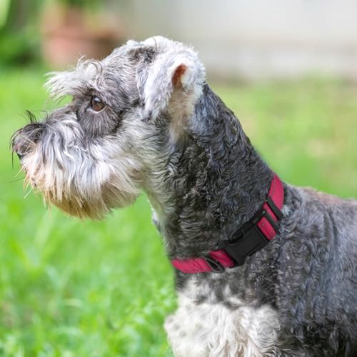 Joytale Reflective Dog Collar, Soft Neoprene Padded, Metal D-Ring, Nylon Pet Collar Adjustable for Small Dogs, Hotpink, S - color: Hotpink, size: Small (Pack of 1)