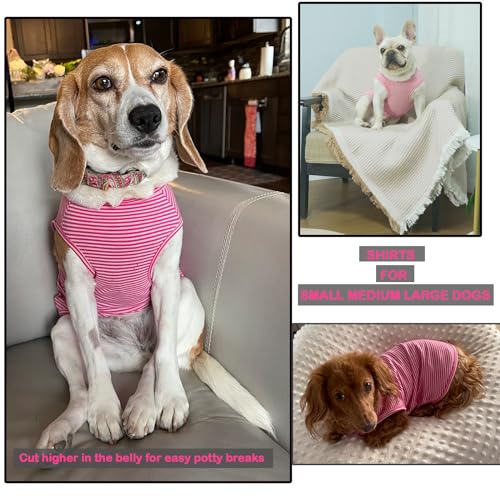Dog Shirt,Combed Cotton T-Shirts,Soft Cool Boy Girl Tee for Small Dogs Kitty Puppy Chihuahua,Pink Rose Striped S - color: Pink & Rose Striped, size: Small