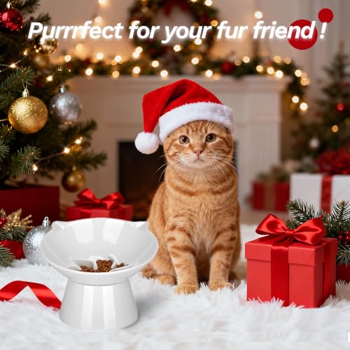 7 Inch Extra Wide Detachable Slow Feeder, Cat Bowl- Elevated Cats Feeder Tilted, Large Raised Cat Food Bowl Whisker Friendly, for Indoor Cats and Small Dogs Anti-Vomiting White - color: White