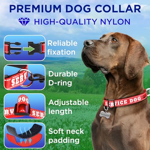 TECEUM Reflective Pet Collar – Red - Service Dog – M – Extra Soft Padding – Basic Nylon Dog Collar – Quick Release Buckle – Fits Small, Medium and Large Dogs, Puppies, Cats - color: Red - Service Dog, size: Medium
