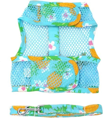 Cool Mesh Dog Harness - Dog Vest for Pets, Simple Step in and Go Design, Harness for Dogs with Leash, Pineapple Luau, Small by Doggie Design