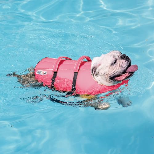 Outward Hound Granby Splash Pink Dog Life Jacket, Medium - color: Pink, size: Medium (Chest Girth: 21"-27")