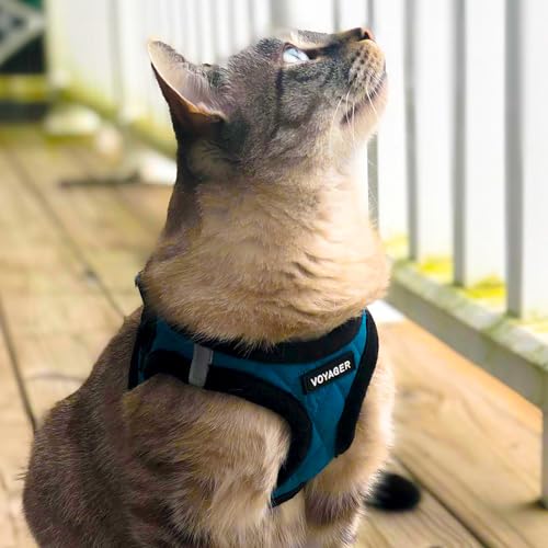 Best Pet Supplies Voyager Step-in Plush Dog Harness - Soft, Step in Vest Harness and Reflective Dog 5 ft Leash Combo with Neoprene Handle for Small and Medium Dogs, Turquoise Plush, L - color: Harness Leash Set (Turquoise Plush), size: L (Chest: 18 - 20.5