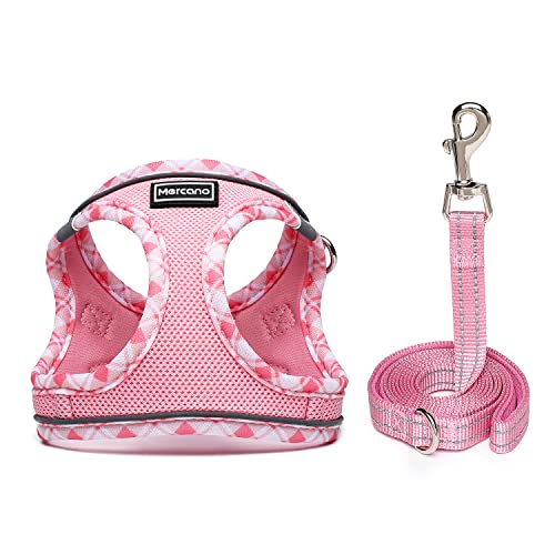 Mercano Soft Mesh Dog Harness and Leash Set, Step-in Reflective Breathable Lightweight Vest Harnesses with Safety Buckle for Small Dogs, Cats (Pink, XXS) - color: Pink, size: XXS (Chest: 9.5"-11.2")