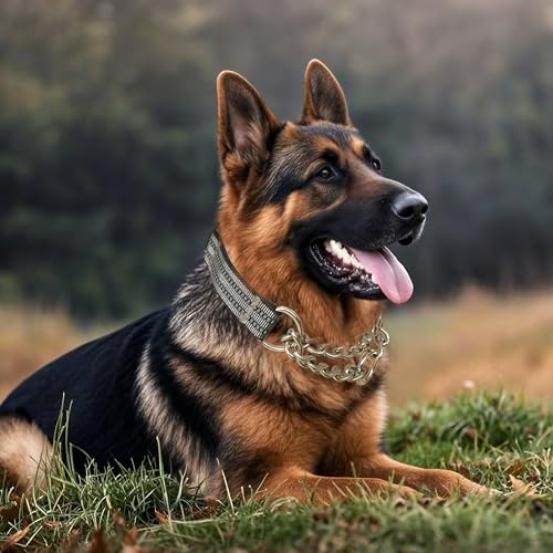 Martingale Dog Collars, Reflective Nylon Collar with Stainless Steel Chain, Adjustable Walking Training Dog Collars with Quick Release Buckle, Suitable for Small Medium Large Dogs(Gray,L) - color: Gray, size: Large-(dog's neck 16~20.5inches)