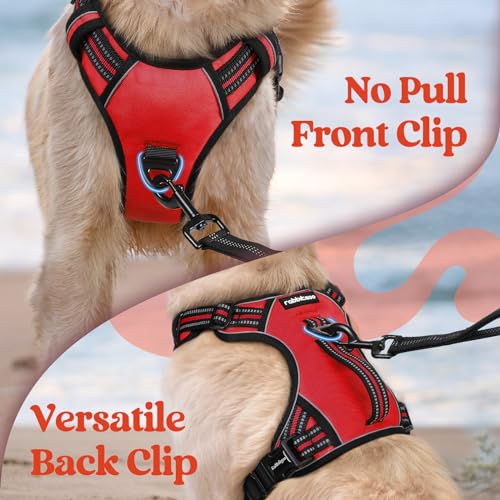 rabbitgoo Dog Harness Small Sized Dog, No Pull Pet Harness with Soft Padded Handle, Adjustable Reflective Vest with 3 Buckles, Easy Walking Harness with 2 Leash Clips, Red, S - color: Red, size: Small