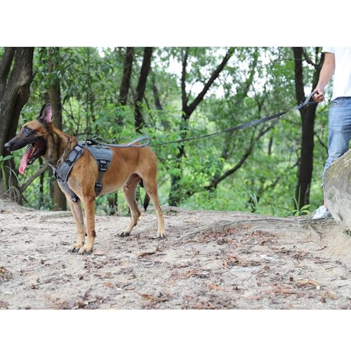 ICEFANG Relfective Dog Leash for Medium Large Dogs,K9 Training Walking Lead with Double Handle,Heavy Duty Auto-Lock Metal Clasp (6ft, Grey) - color: Grey, size: 6 ft (No bungee)