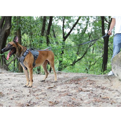 ICEFANG Relfective Dog Leash for Medium Large Dogs,K9 Training Walking Lead with Double Handle,Heavy Duty Auto-Lock Metal Clasp (6ft, Grey) - color: Grey, size: 6 ft (No bungee)