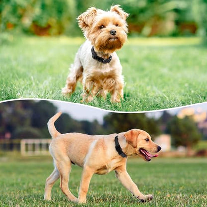 Reflective Dog Collar Padded with Soft Neoprene Breathable Quick Release Basic Dog Collars for Puppy Small Dogs Girl Boy Black - color: Black, size: S:width 5/8"neck 10.5-16"