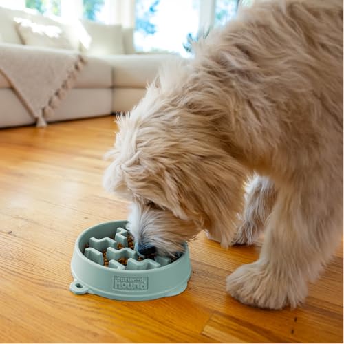 Outward Hound Medium Slow Feeder Bowl, Puzzle Maze for Fast Eaters, Small to Medium Dogs, Helps Prevent Bloat & Aid Digestion, Holds 2 Cups Wet or Dry Food, Non-Slip, Made Without BPA, Sage - size: Medium
