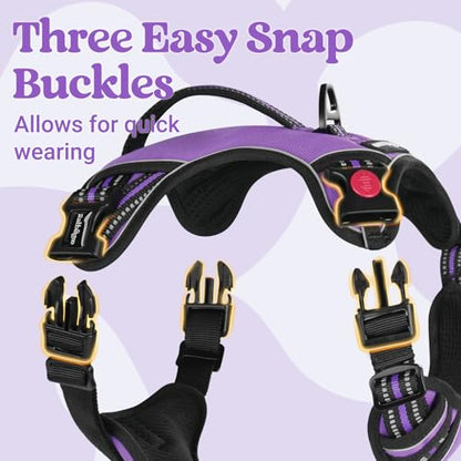 rabbitgoo Dog Harness Small Sized Dog, No Pull Pet Harness with Soft Padded Handle, Adjustable Reflective Vest with 3 Buckles, Easy Walking Harness with 2 Leash Clips, Purple, S - color: Purple, size: Small
