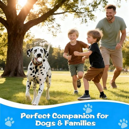 Indestructible Dog Ball, Durable Dog Balls for Aggressive Chewers, 2.4" Durable Teething Chew Toys, Interactive Fetch Ball for Medium/Small Dogs(4-Pack-White) - color: White