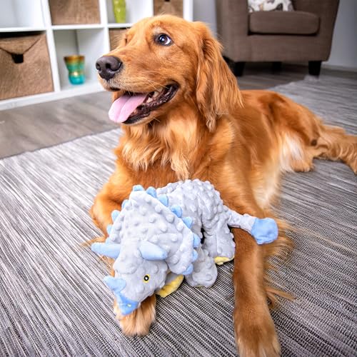 goDog Dinos Frills Squeaky Plush Dog Toy with Chew Guard Technology, Durable Fabric & Squeaker for Active Play, Gray, Large - color: Dinos Frills (Gray), size: Large