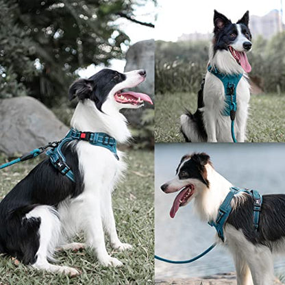 PoyPet No Pull Dog Harness and 5 Feet Leash Set, Release on Neck Reflective Adjustable Pet Vest, Front & Back 2 D-Ring and Soft Padded Pet Harness with Handle for Small to Large Dogs(Tumalo Teal,M) - color: Tumalo Teal, size: Medium