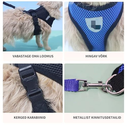 No Pull Dog Mesh Harness & Leash Set Adjustable Soft Padded Pet Vest with Easy Control Handle for Small Medium Dogs Cats,Puppy Harness,Step in Cat Dog Harness Vest for Training,Running,Walking (S) - size: S