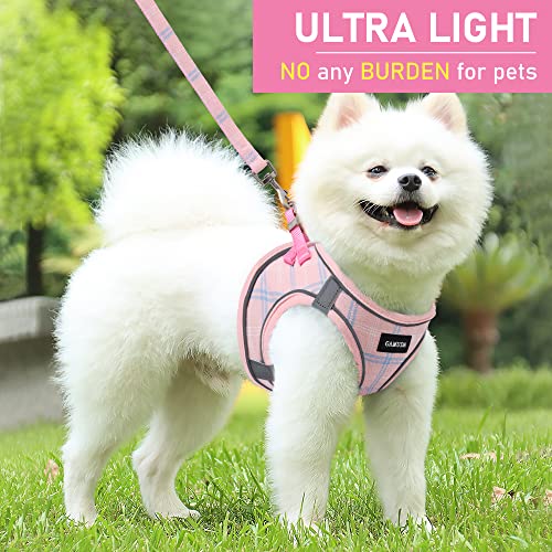 Small Dog Harness Collar and Leash Set, Step in No Chock No Pull Soft Mesh Adjustable Dog Vest Harnesses Plaid Reflective for Dogs Puppy Cats Kitten Rabbit (Pink, XXXS) - color: Pink, size: XXXS