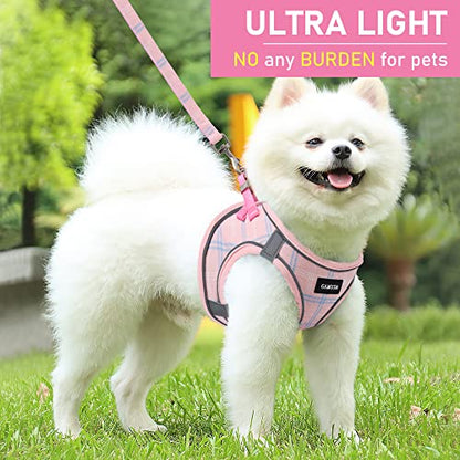 Small Dog Harness Collar and Leash Set, Step in No Chock No Pull Soft Mesh Adjustable Dog Vest Harnesses Plaid Reflective for Dogs Puppy Cats Kitten Rabbit (Pink, XXXS) - color: Pink, size: XXXS