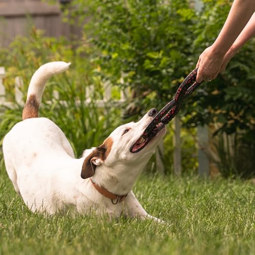 Chew King Supreme Durable Rubber Dog Ball for Aggressive Chewers, Heavy-Duty Chew Toy, Interactive Dog Toy for Training & Enrichment, Medium Supreme Infinity Tug - color: H) Infinity Ring