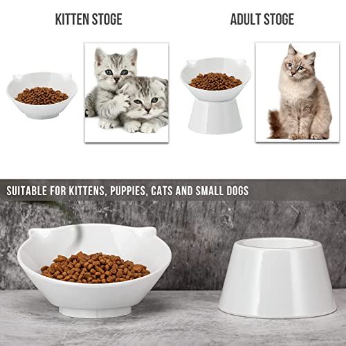 Detachable Elevated Cat Bowls, 15° Tilted Raised Cat Food Bowl Anti-Vomiting, Whisker Friendly, Adjustable Pet cat Dishes for Protecting Spine, Adult Kitten (White) - color: White