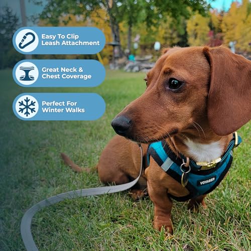 Best Pet Supplies Voyager Step-in Plush Dog Harness - Soft, Step in Vest Harness and Reflective Dog 5 ft Leash Combo with Neoprene Handle for Small and Medium Dogs, Turquoise Plush, S - color: Harness Leash Set (Turquoise Plush), size: S (Chest: 14.5 - 16