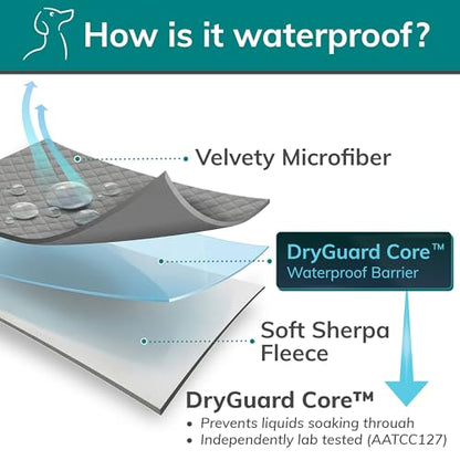 Waterproof Dog Blanket Washable – Leakproof XXL Dog Blanket for Bed, Sectional & Large Couch, Reversible - Gray Microfiber & Gray Sherpa Fleece, 60x79 Inches. - color: Gray Microfiber/Gray Sherpa, size: XXL (60" x 79")