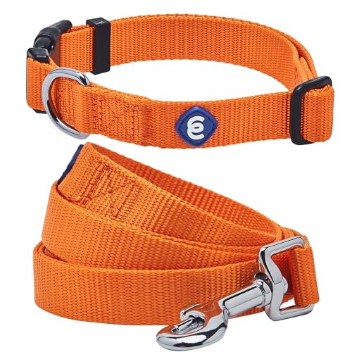 Blueberry Pet Essentials Matching Dog Collar and Leash Set in Orange Vermilion, Adjustable Classic Solid Color Nylon Collar with 4 ft Leash for Large Dogs - color: Orange Vermilion - Collar + Leash, size: Large