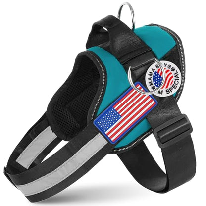 JUSTYEZI Essential Dog Harness with 3 Leash Clips - No-Pull, Adjustable, Comfortable Pet Vest Harness for Small to Large Dogs - Easy On, No Choke, Reflective, Padded Harness for Walking and Training