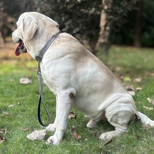 Premium Classic Basic Adjustable Dog Collars,Sturdy,Soft and Smooth Regular Nylon Dog Collars with Quick Release Buckle for Large Dogs Daily Helper. (Large, Ultimate Grey) - color: Ultimate Grey, size: Large 16-24 Inches