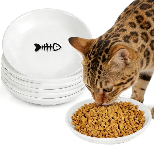 Cat Food Bowls - 6 Pack Whisker Fatigue Ceramic Cats Dishes Set for Indoor Cats, Shallow Wide Kitten Plates for Wet Food and Water, Microwave & Dishwasher Safe - color: White, size: 6 PCS