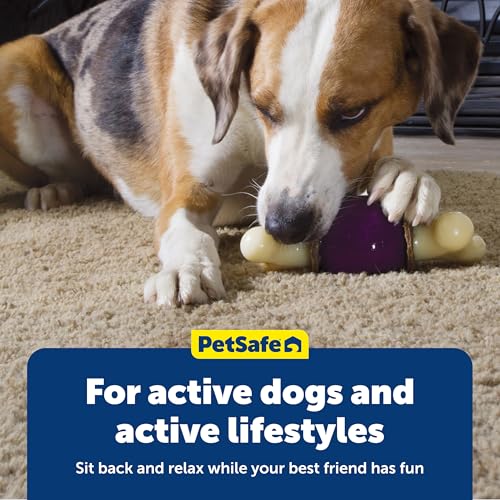 PetSafe Busy Buddy Bouncy Bone, Treat Holding Dog Toy, Large, Best for Dogs Over 75 Lb. - size: Large, style: 3-in-1 Slow Feeder Toy
