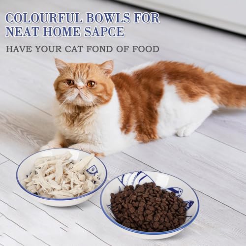 HAPPY KIT 2Pcs Wide Shallow Cat Bowls,8.5oz Colorful Plate Set with Non-Slip Mat,5.7 inch Indoor Ceramic Cats Dish/Dishes Relief of Whisker Fatigue - Microwave and Dishwasher Safe - color: fish