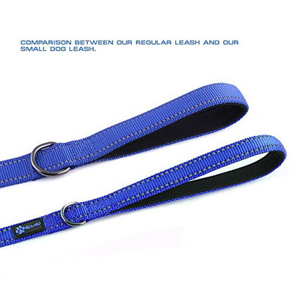 Max and Neo Small Dog Reflective Nylon Leash - Every Purchase Donates One, 4x5/8" (Blue) - color: BLUE, size: 4 FT x 5/8" Wide