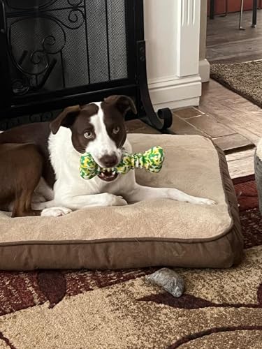 Dog Chew Toys for Aggressive Chewers, Safe Bamboo Fiber & Nature Rubber-Partially Degradable,Teething Cleaning Toys for Small Medium Large Dog Breeds Green L - size: Medium & Large