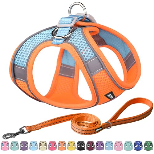 AIITLE Dog Harness, No-Pull Cat Harness with a Leash, Adjustable Reflective Dog Vest, Cat Harness Escape Proof, Outdoor Walking, Running,Training for Extra Small Dogs and House Cats Orange XXXS - color: Orange, size: XXXS(Chest: 8.5 - 10")
