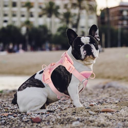 Dog Harness Medium Sized, Pet Vest with Front Clip, Adjustable Puppy Harness with 3 Fast Release Buckles[Easy to Put on & Take Off] (Pink, L) - color: Pink, size: L: Neck=20.5"-25"/Chest=17"-33"