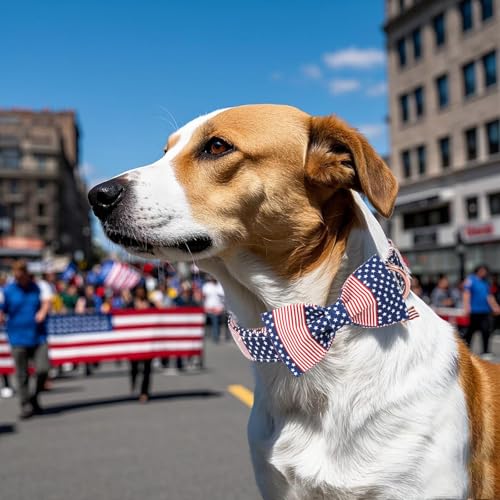 DOGWONG American Flag Dog Collar, 4 of July Dog Bow Collar Heavy Duty Adjustable Patriotic Dog Collar with Bowtie for Small Dogs - color: American Flag B, size: XS