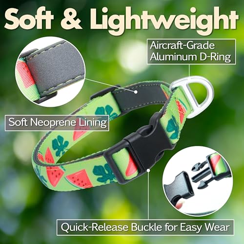 Cute Dog Collar, Summer Watermelon Print Reflective Padded Collar with Soft Neoprene, Adjustable Lightweight Pet Collar for Small Dogs, Puppies,Neck Size 9’’-14’’ (Watermelon, S) - color: Watermelon, size: S (Neck 9''– 14'')