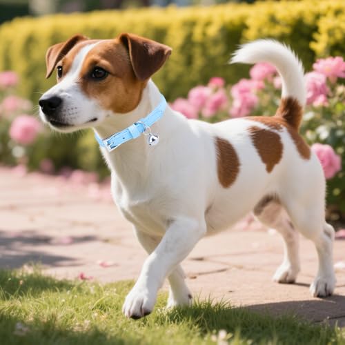 PUPTECK 2 PCS Soft Genuine Leather Cat Kitten Collar with Bells Adjustable for Girl Boy Cats Puppy - Pink, Blue - color: Pink&Blue