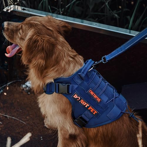 OneTigris Tactical Dog Harness Vest,No-Pull Service Dog Vest with Hook & Loop Panels,Adjustable Dog Vest Harness for Walking Hiking Training(Blue,XXS) - color: Blue, size: XX-Small