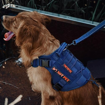 OneTigris Tactical Dog Harness Vest,No-Pull Service Dog Vest with Hook & Loop Panels,Adjustable Dog Vest Harness for Walking Hiking Training(Blue,XXS) - color: Blue, size: XX-Small